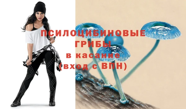 крисы Горняк
