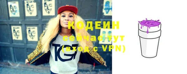 гидра Гусиноозёрск
