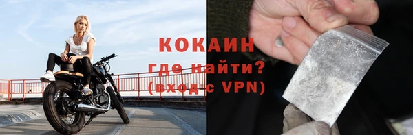 гидра Гусиноозёрск
