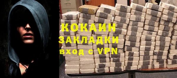 гидра Гусиноозёрск