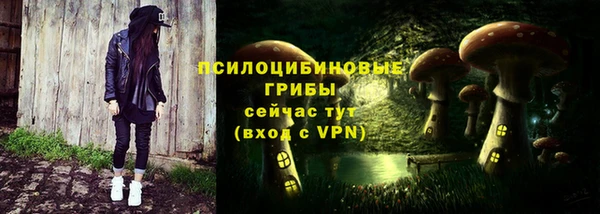 гидра Гусиноозёрск