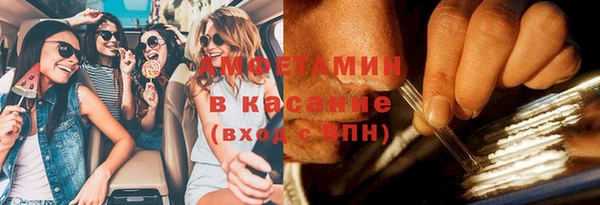 крисы Горняк