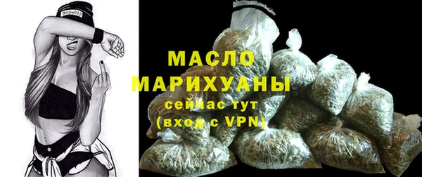 крисы Горняк